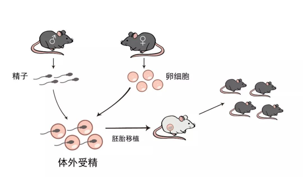 圖片關鍵詞